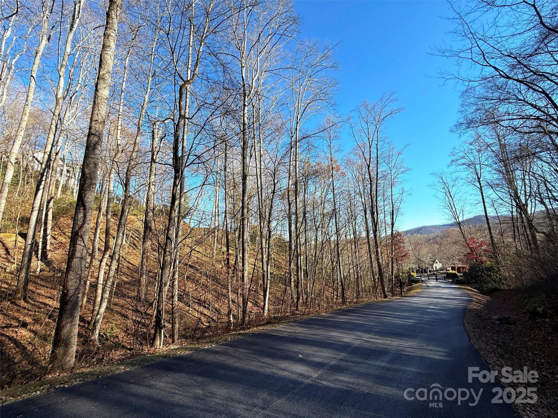 00 Mountain Watch Drive #1 - Photo 13