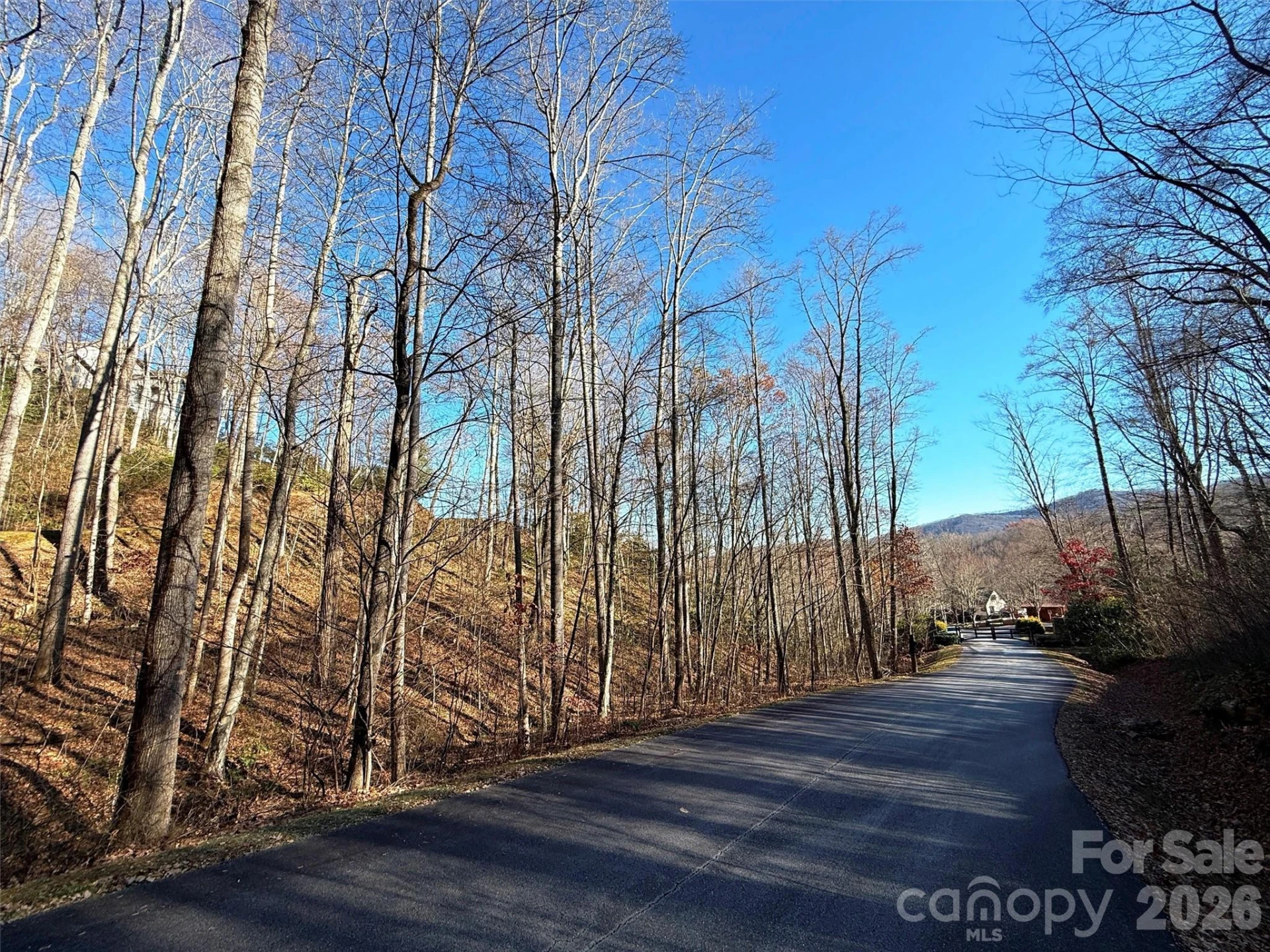 00 Mountain Watch Drive #1 - Photo 25