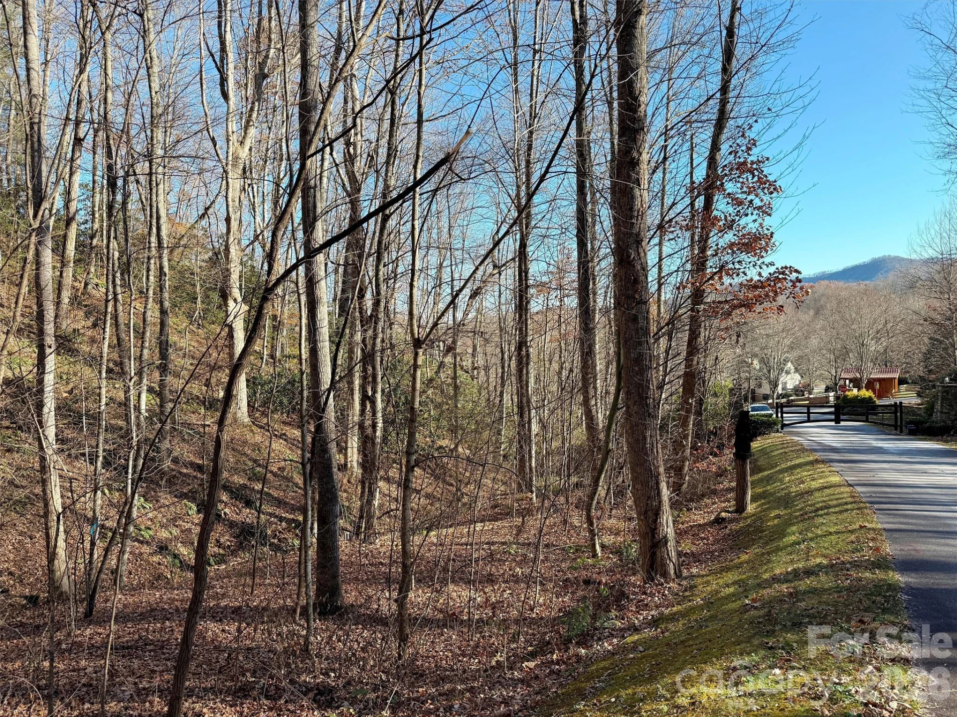 00 Mountain Watch Drive #1 - Photo 27