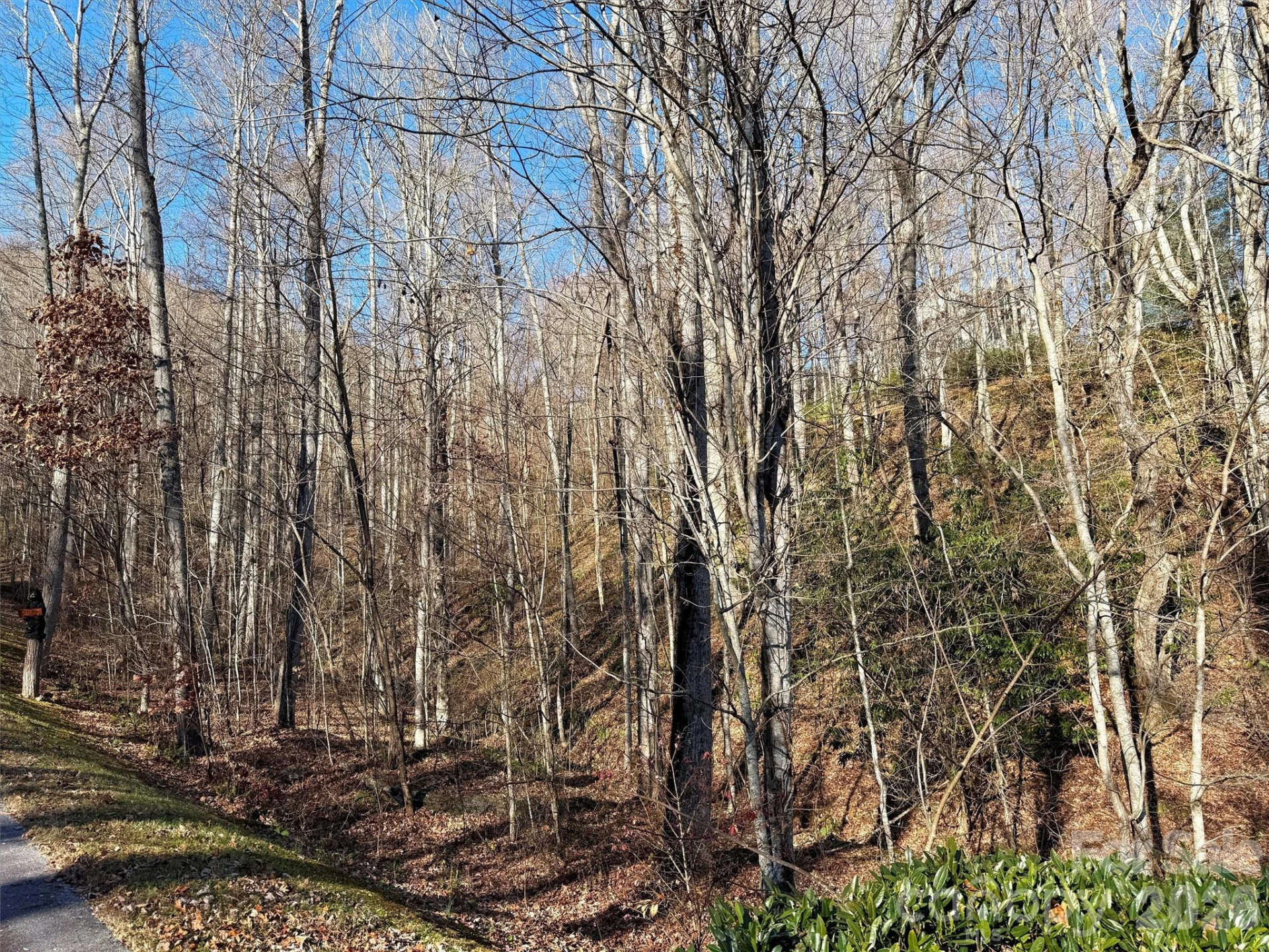 00 Mountain Watch Drive #1 - Photo 29