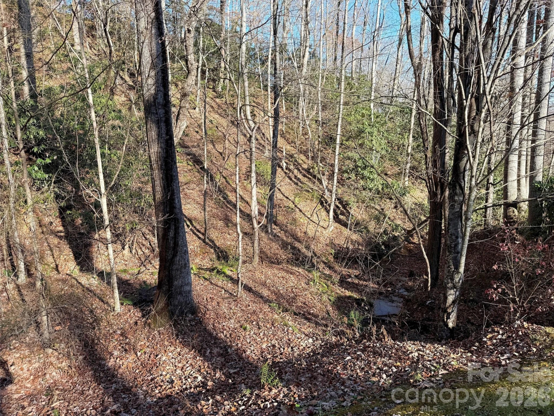 00 Mountain Watch Drive #1 - Photo 31