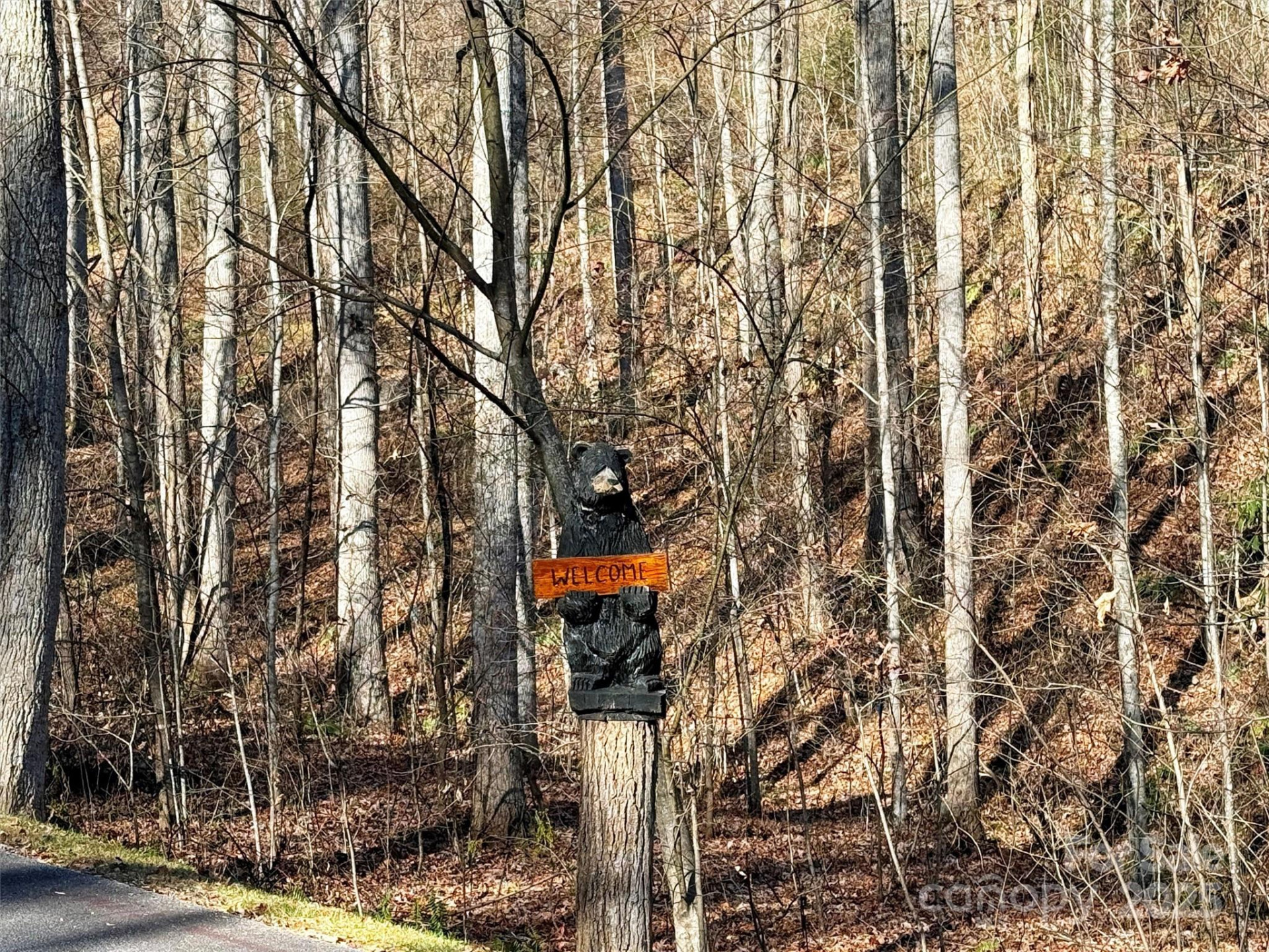 00 Mountain Watch Drive #1 - Photo 18