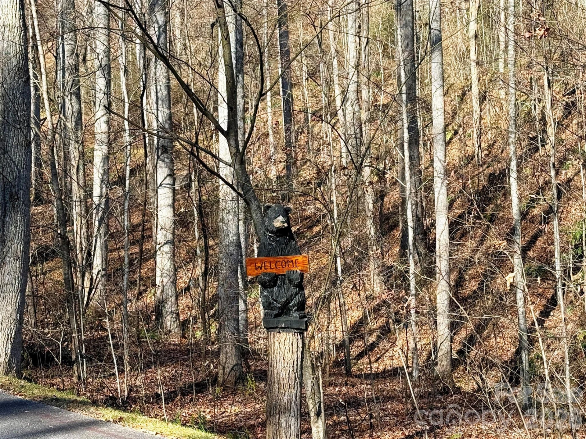 00 Mountain Watch Drive #1 - Photo 35