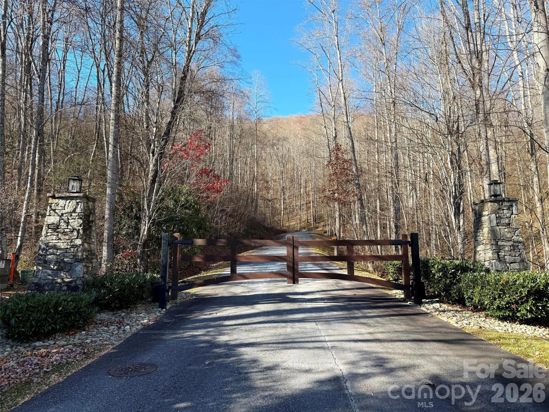 00 Mountain Watch Drive #1 - Photo 5