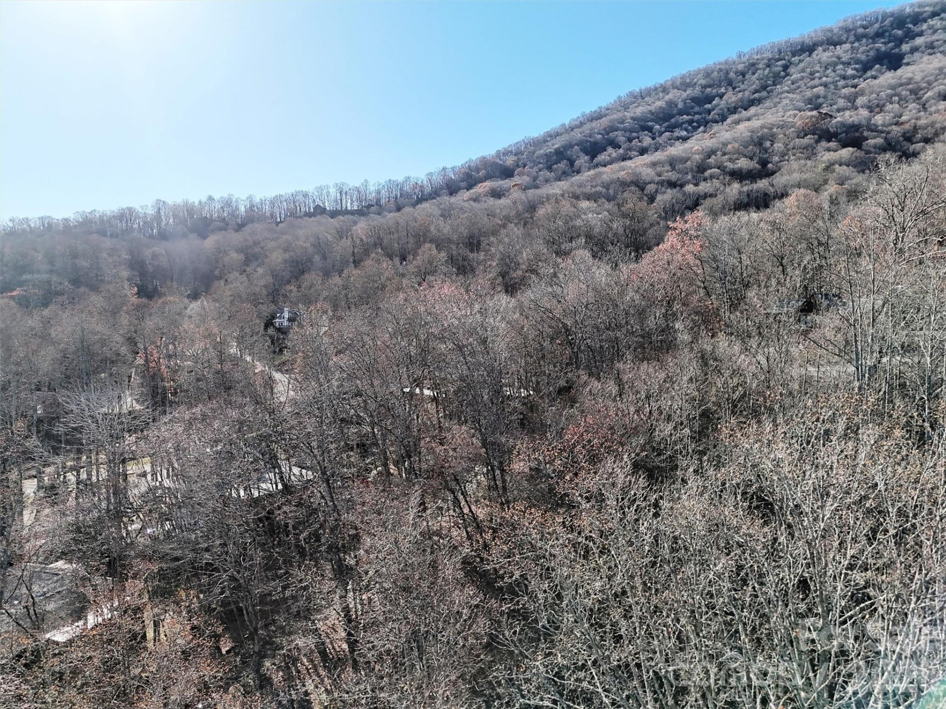 00 Mountain Watch Drive #1 - Photo 45