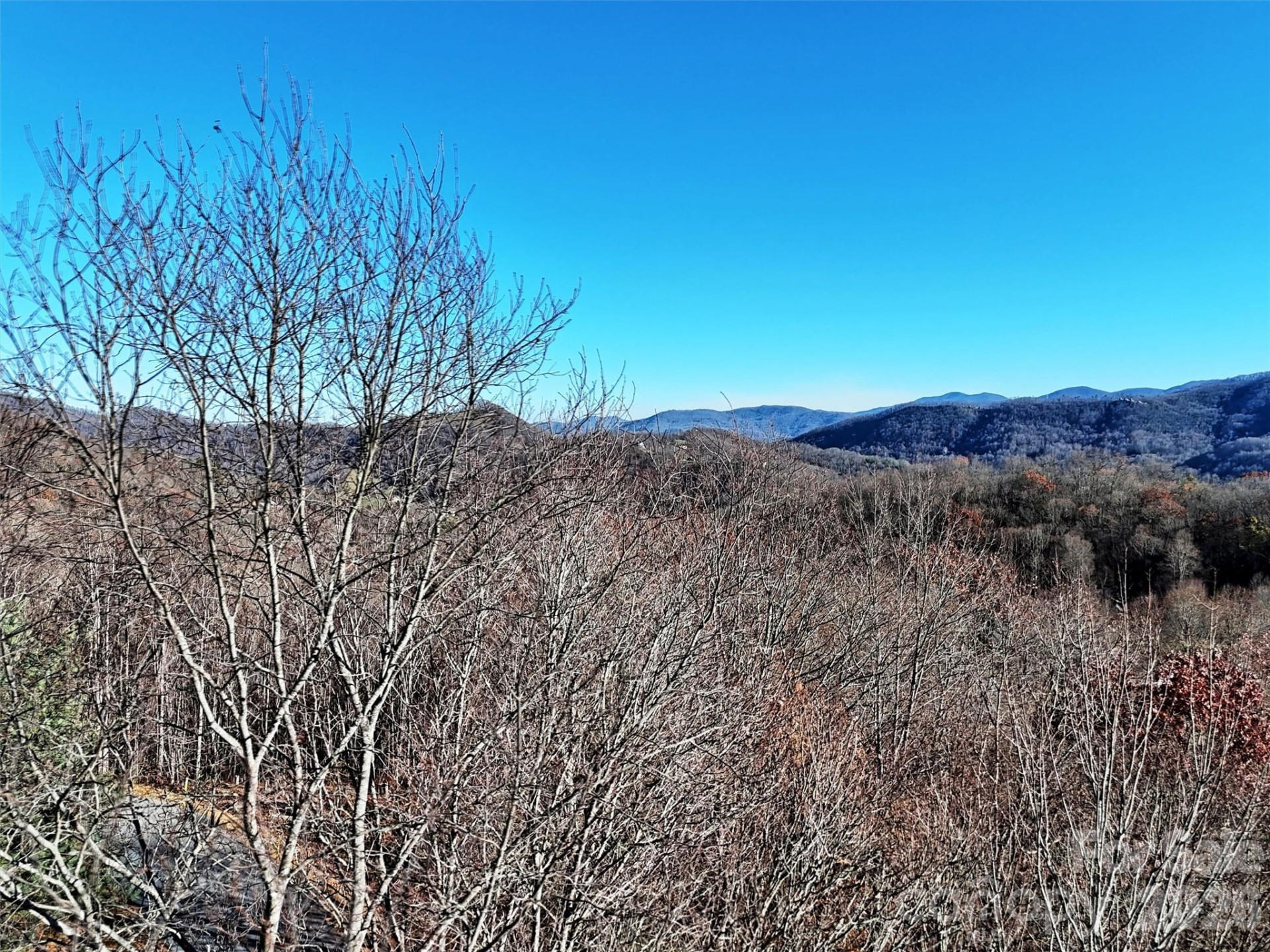 00 Mountain Watch Drive #1 - Photo 46