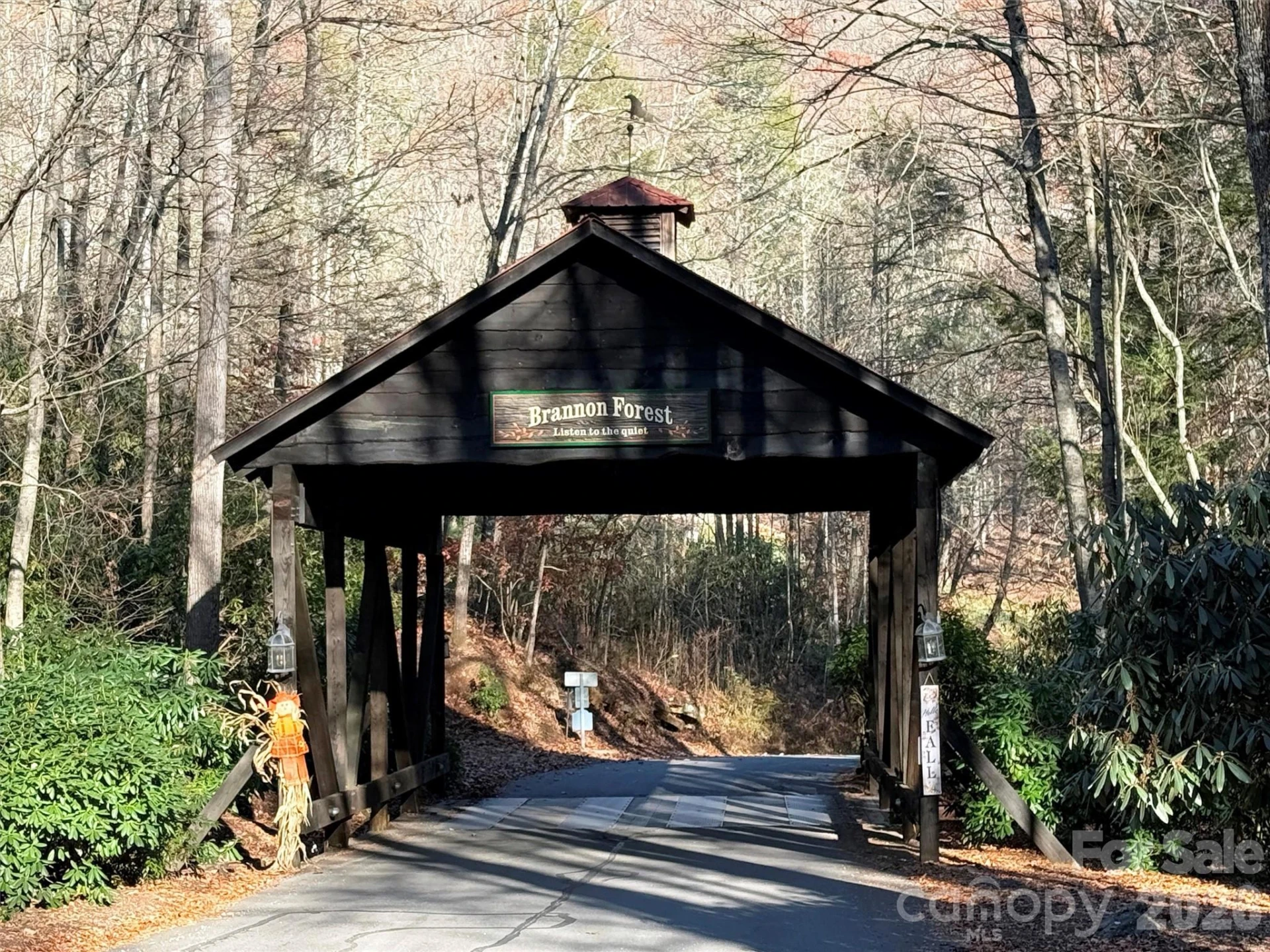 00 Mountain Watch Drive #1 - Photo 7