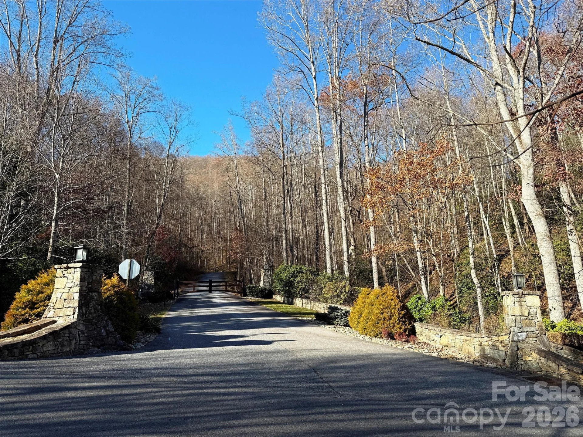 00 Mountain Watch Drive #1 - Photo 11