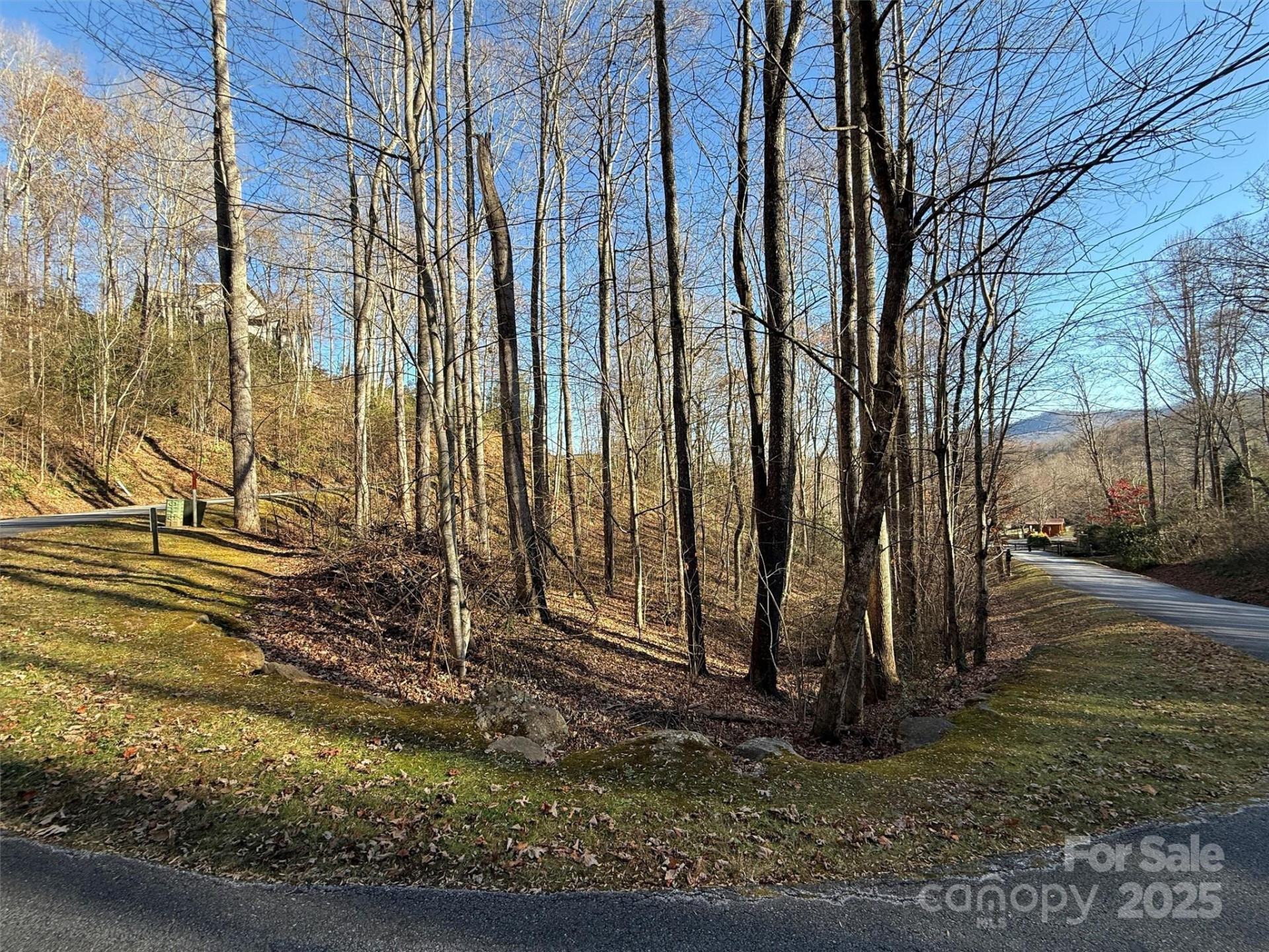 00 Mountain Watch Drive #1 - Photo 9