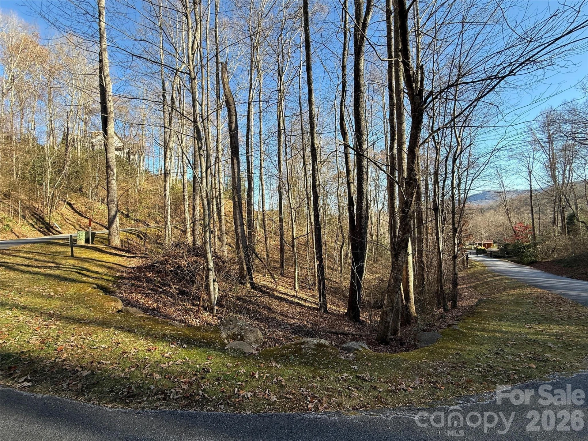 00 Mountain Watch Drive #1 - Photo 17