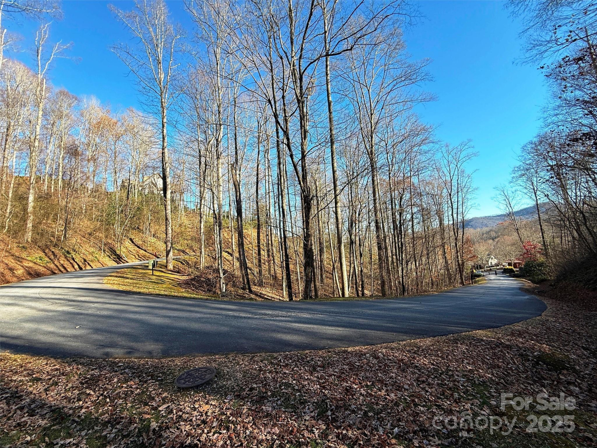 00 Mountain Watch Drive #1 - Photo 10