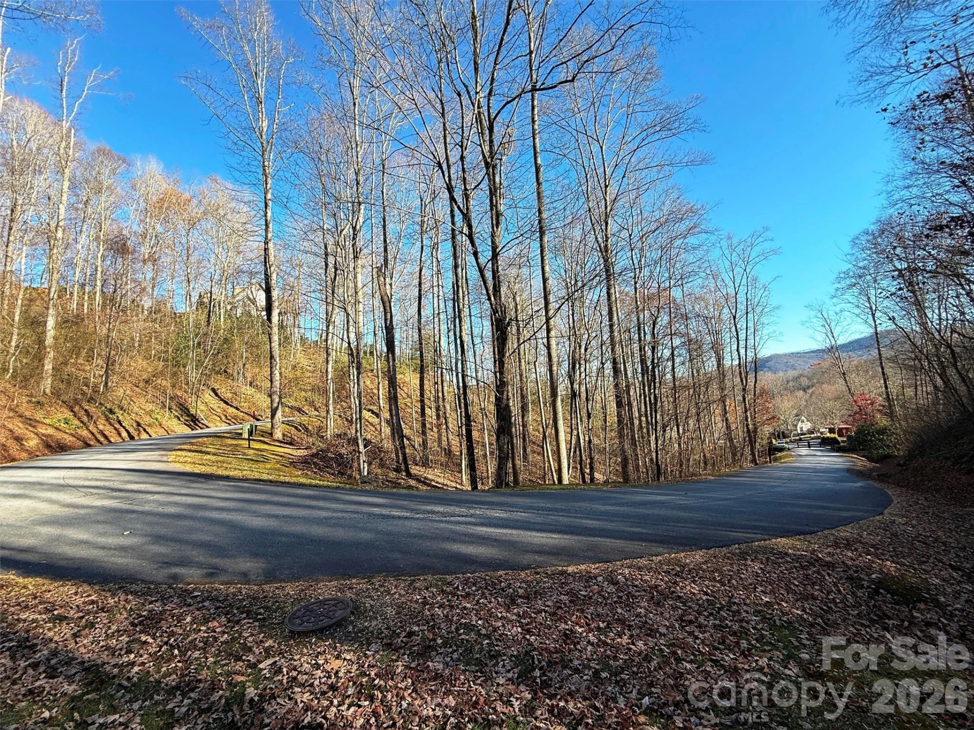 00 Mountain Watch Drive #1 - Photo 19