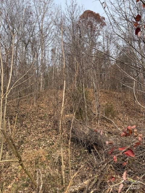 00 Yancey Road - Photo 2