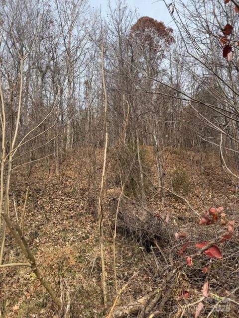 00 Yancey Road - Photo 2