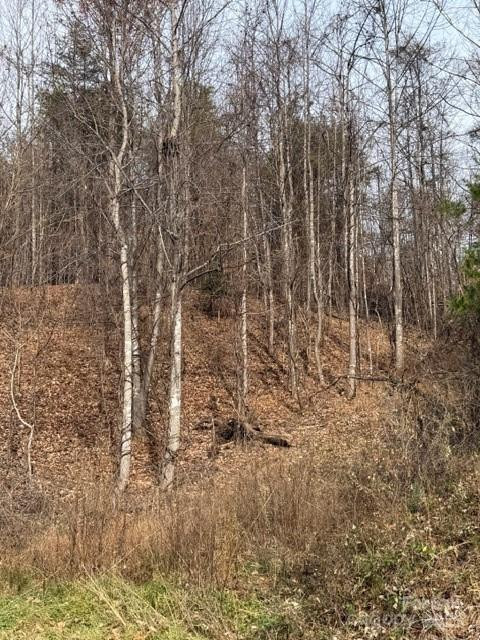 00 Yancey Road - Photo 4