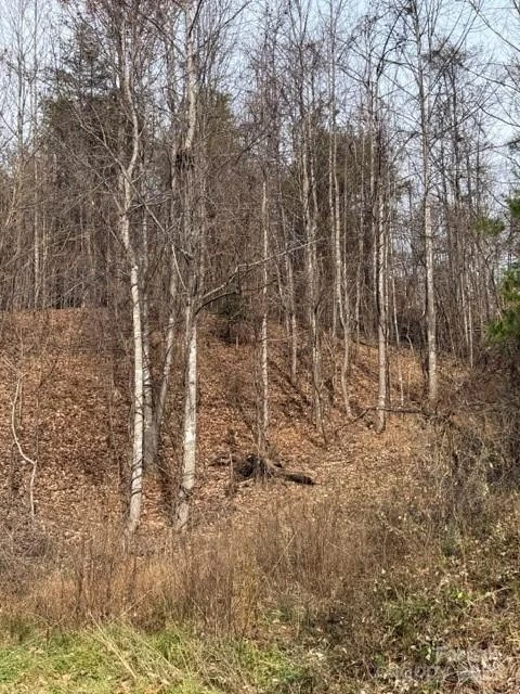 00 Yancey Road - Photo 4