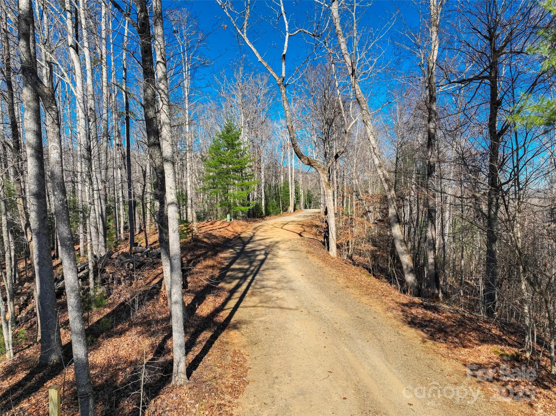 00000 High Peak Ridge #10 - Photo 2