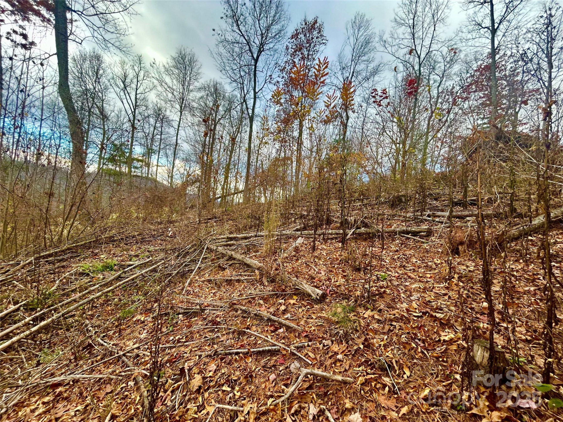 00000 High Peak Ridge #10 - Photo 11