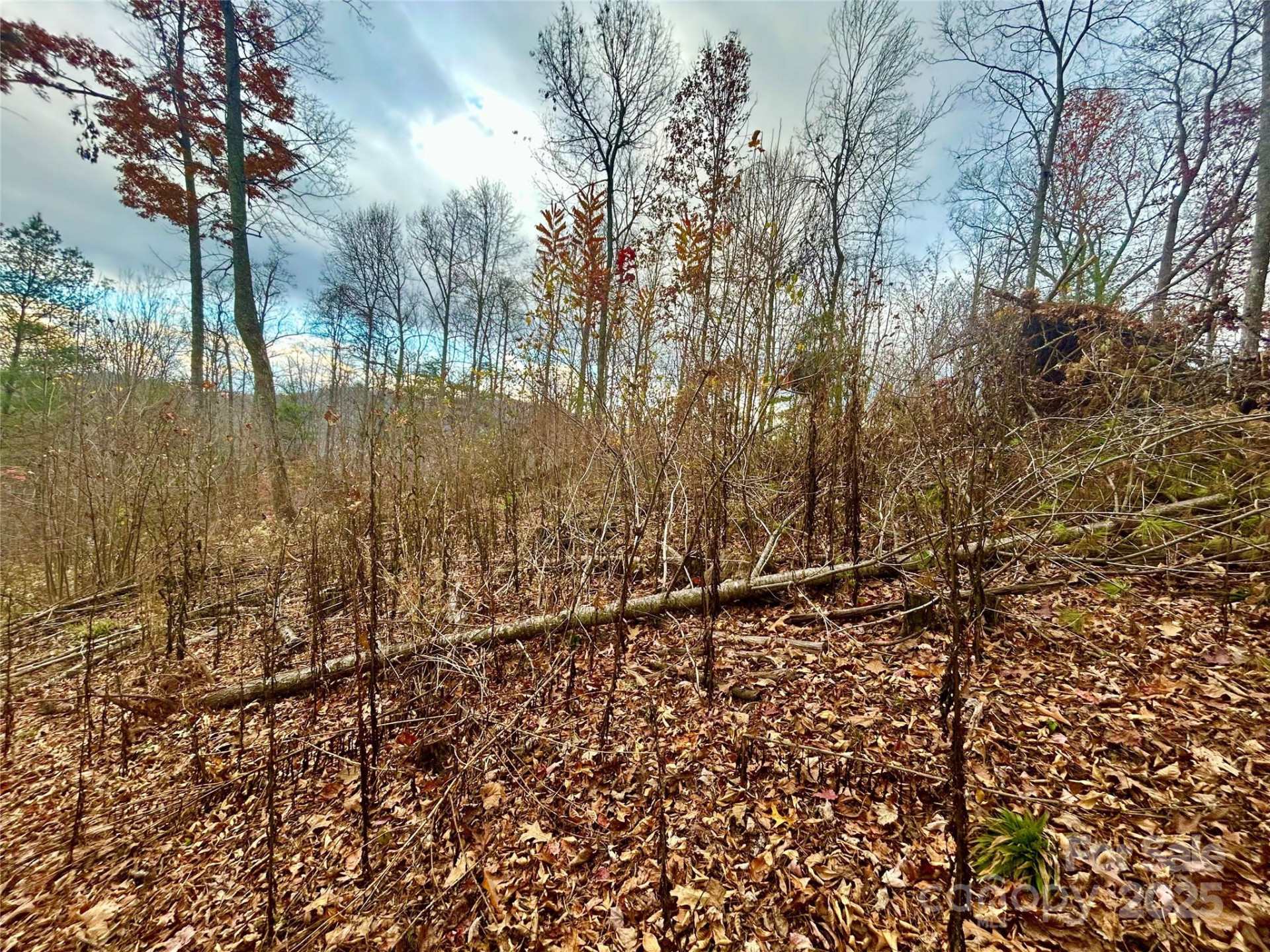 00000 High Peak Ridge #10 - Photo 12