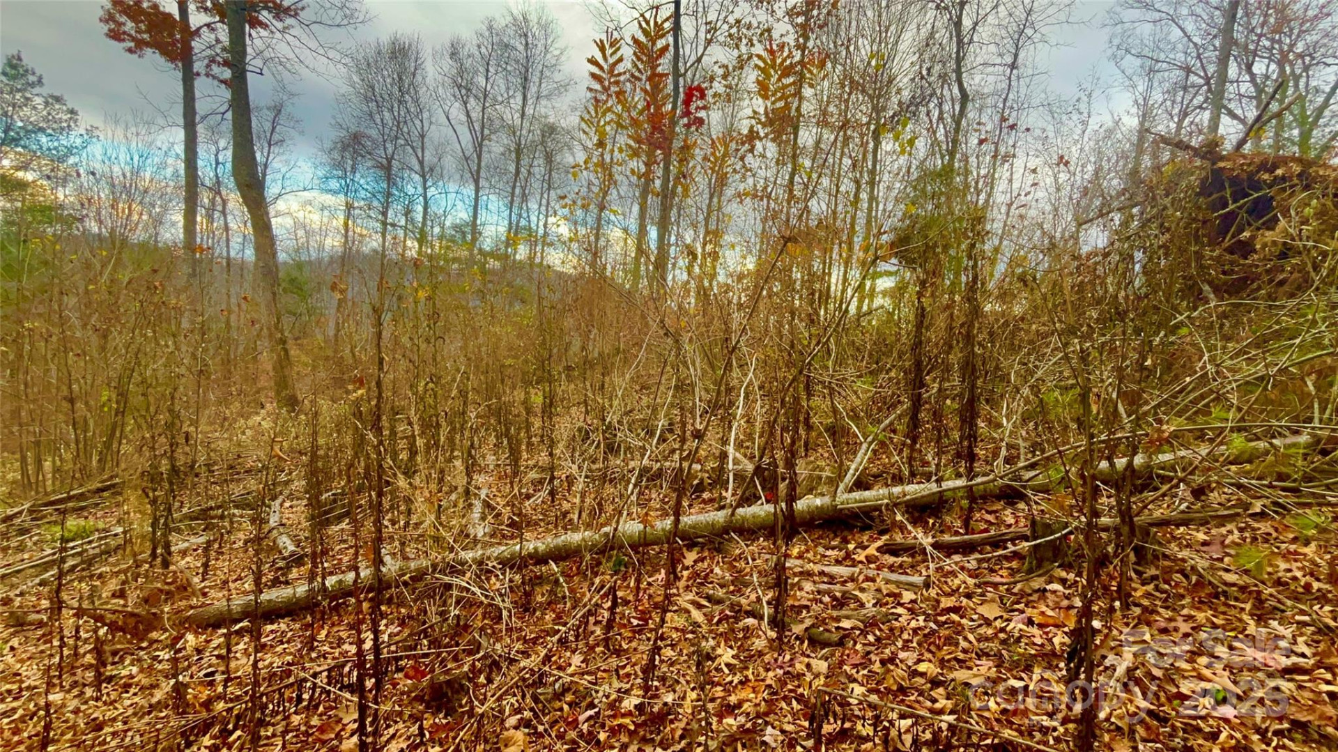 00000 High Peak Ridge #10 - Photo 13