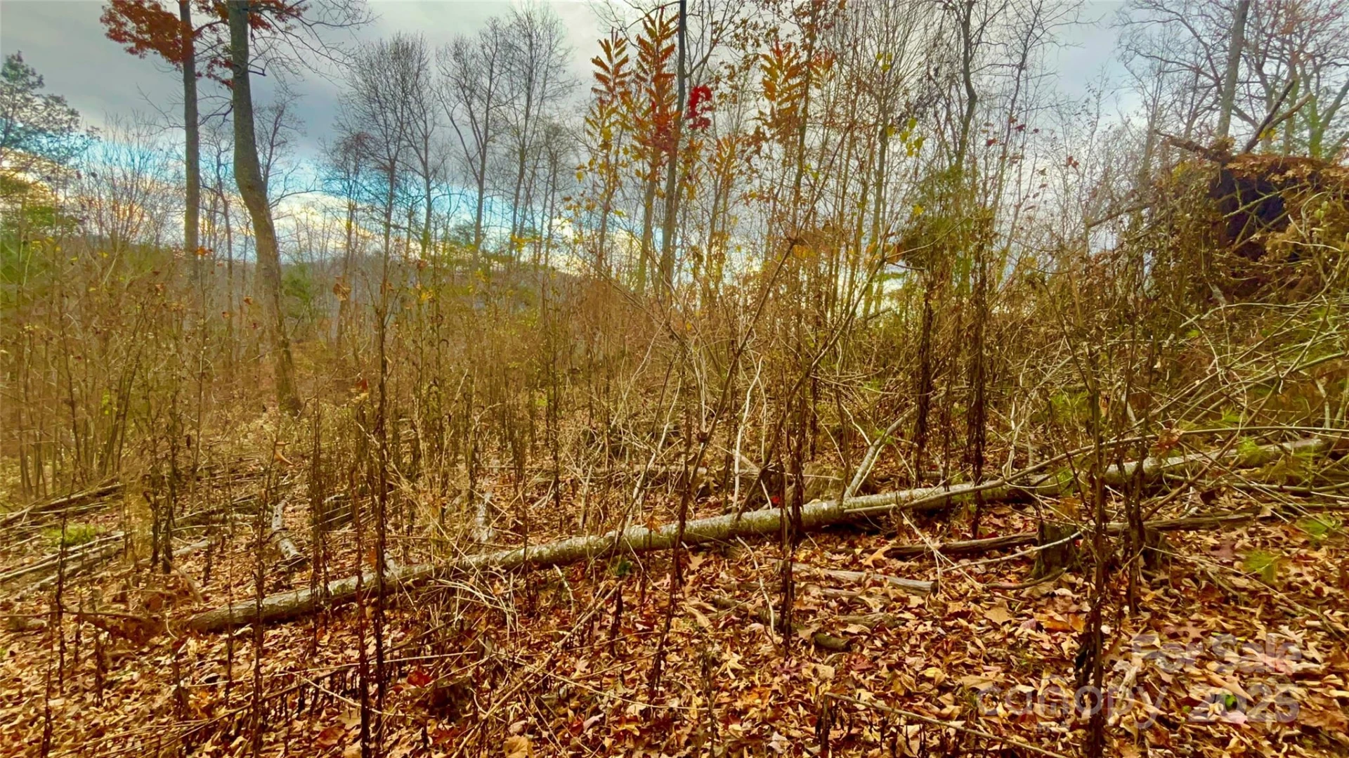 00000 High Peak Ridge #10 - Photo 13