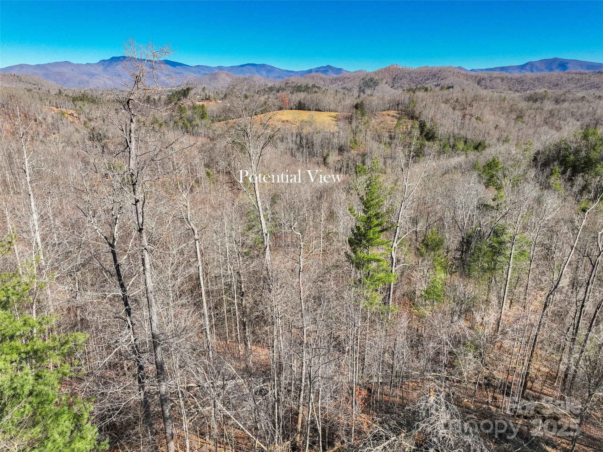 00000 High Peak Ridge #10 - Photo 16