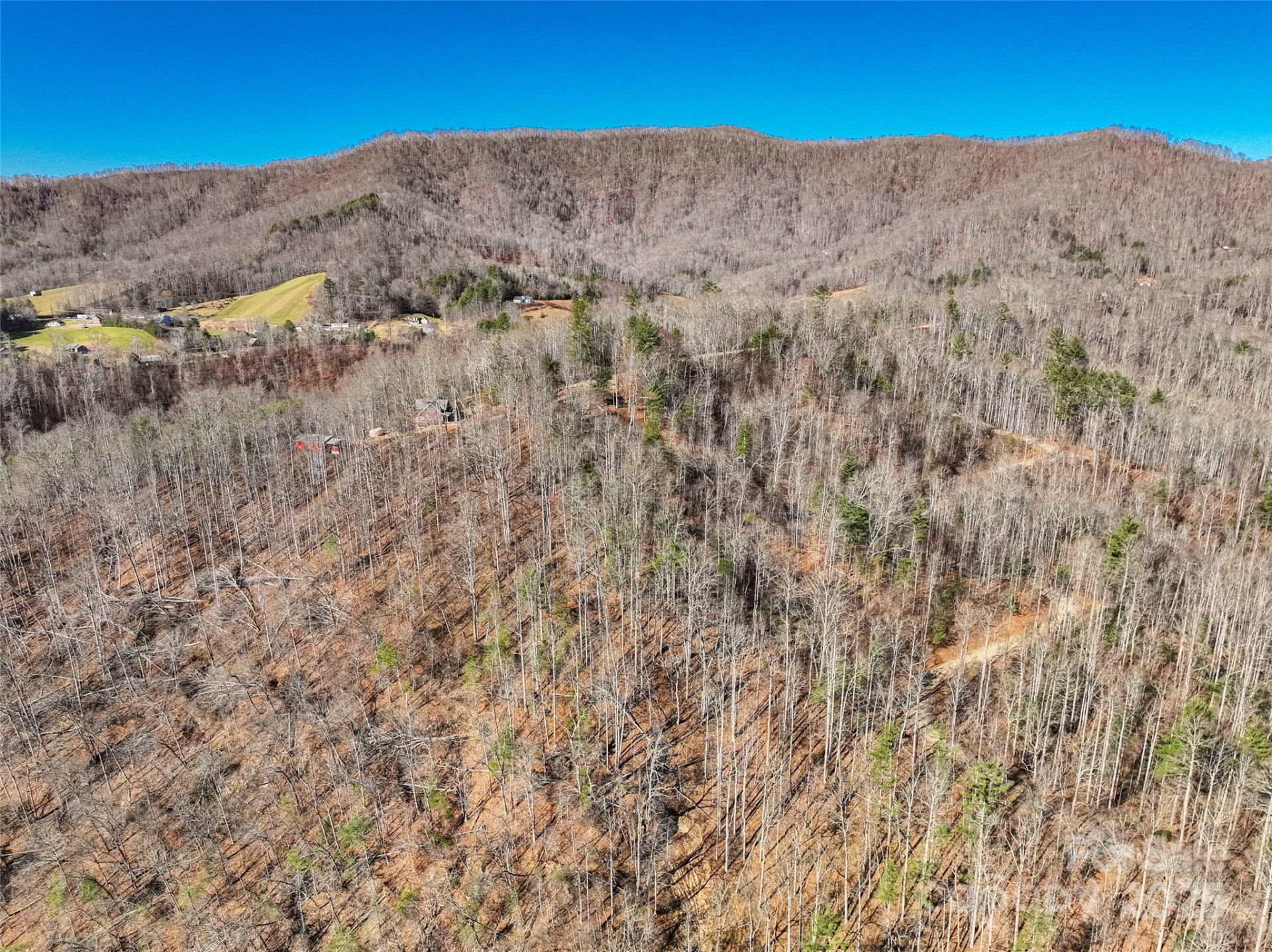 00000 High Peak Ridge #10 - Photo 19