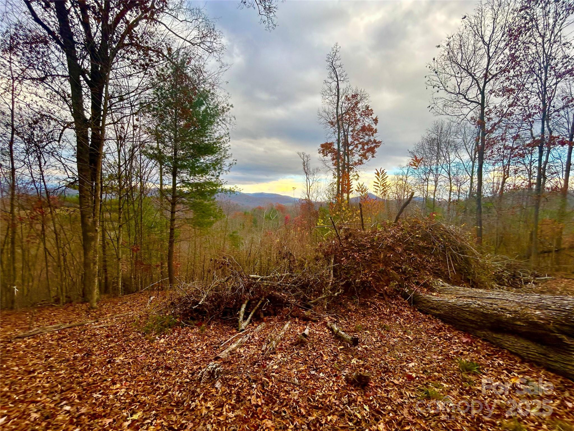 00000 High Peak Ridge #10 - Photo 7