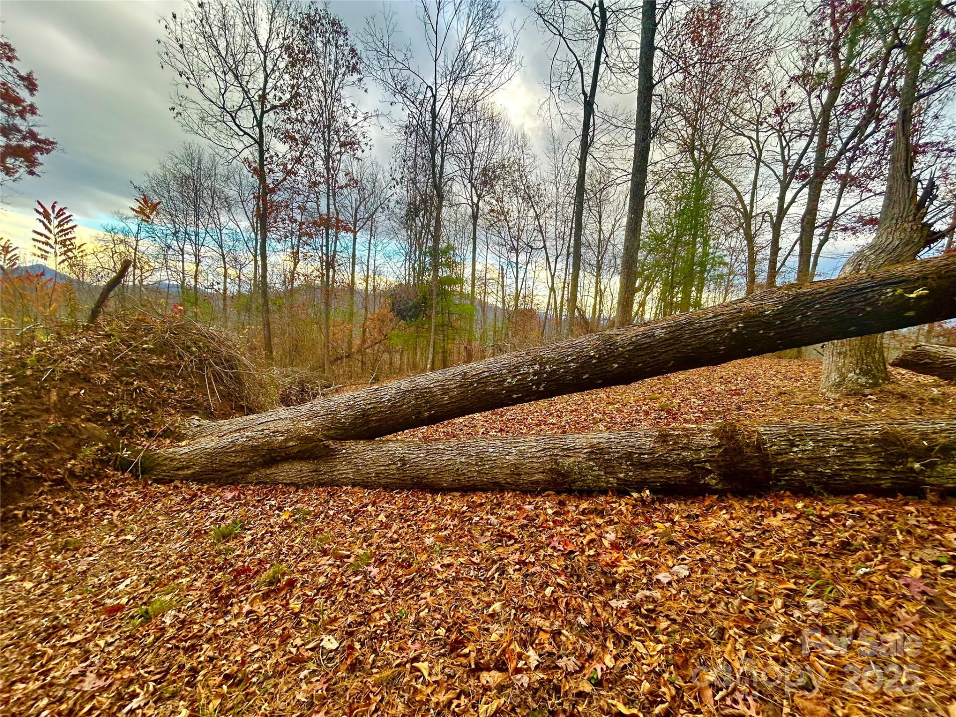 00000 High Peak Ridge #10 - Photo 8