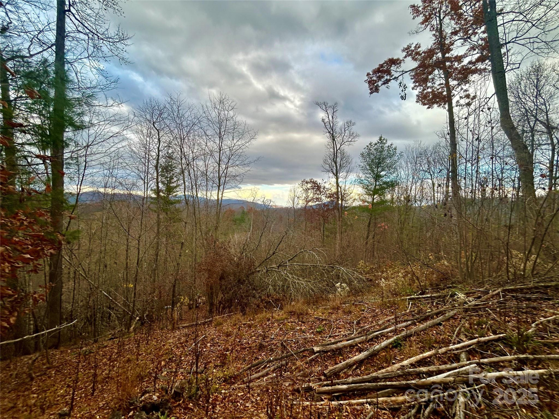 00000 High Peak Ridge #10 - Photo 10