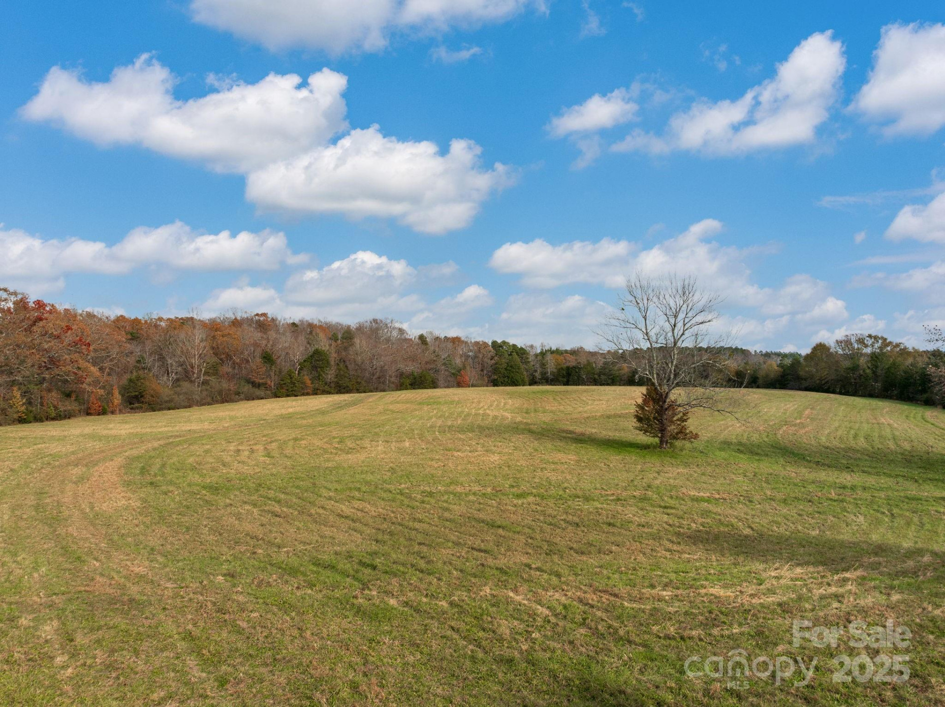 6505 Hwy 9 Highway - Photo 11