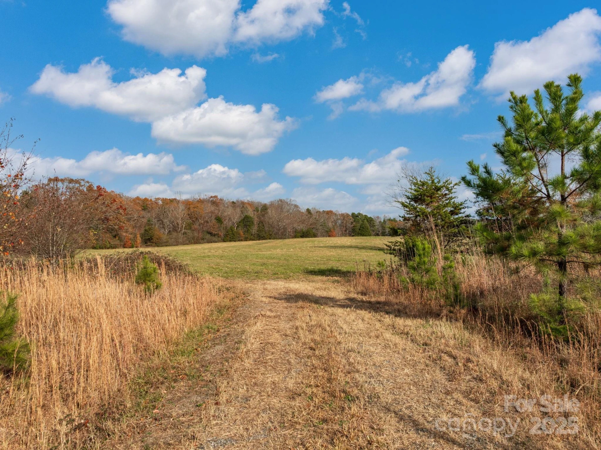 6505 Hwy 9 Highway - Photo 4