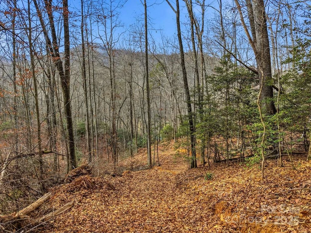 00 Barkers Creek Road
