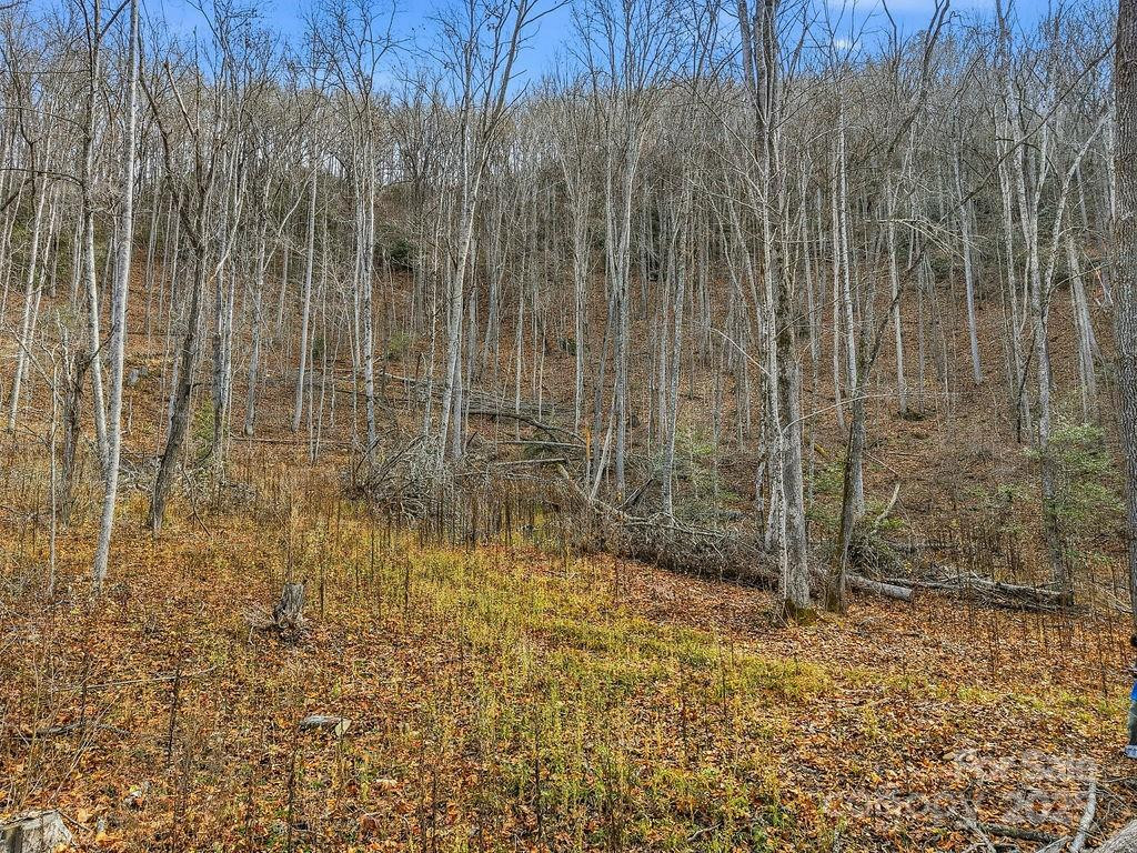 00 Barkers Creek Road - Photo 2