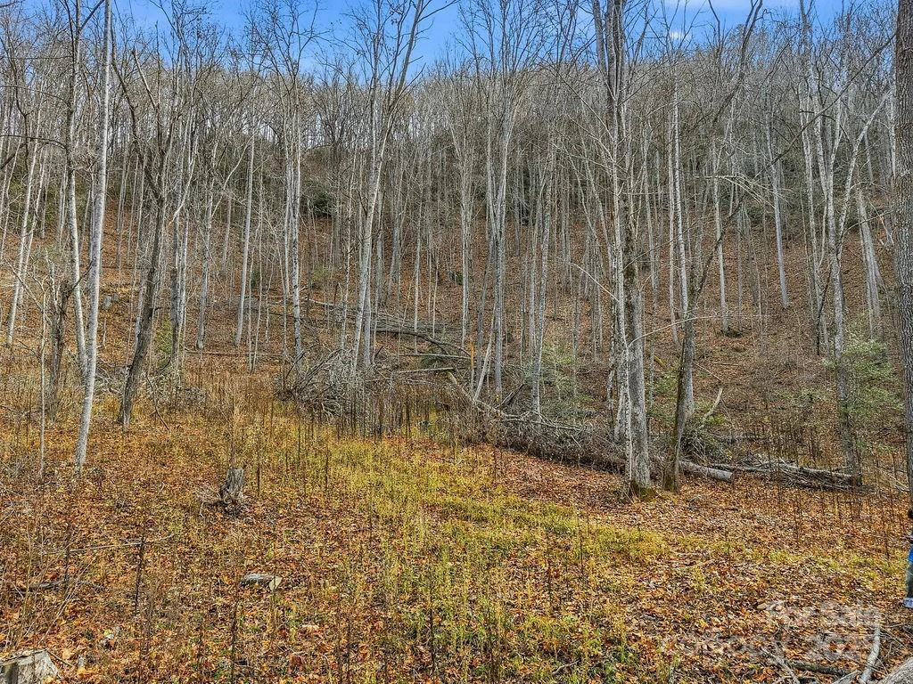 00 Barkers Creek Road - Photo 2