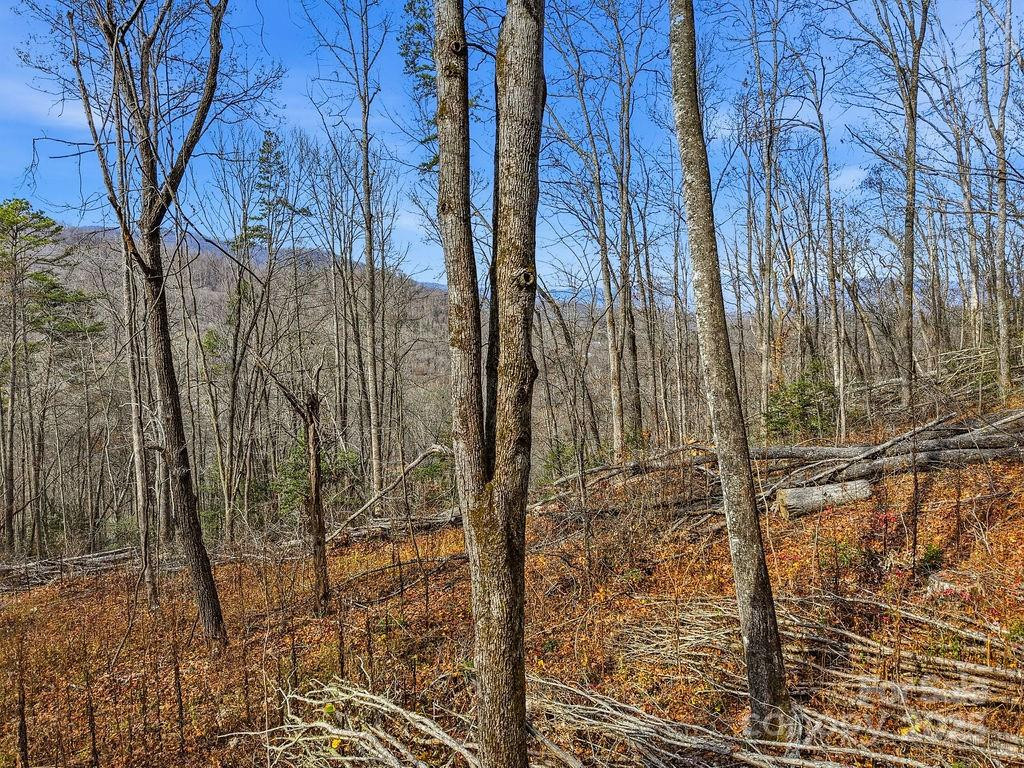 00 Barkers Creek Road - Photo 12