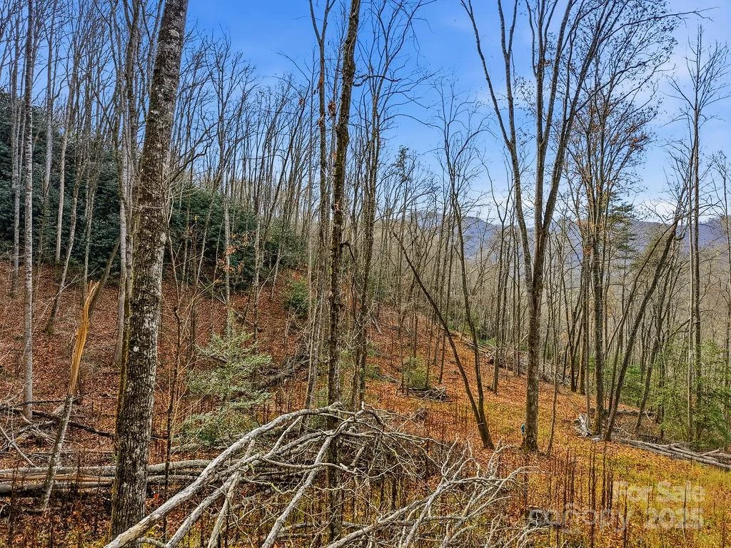 00 Barkers Creek Road - Photo 13