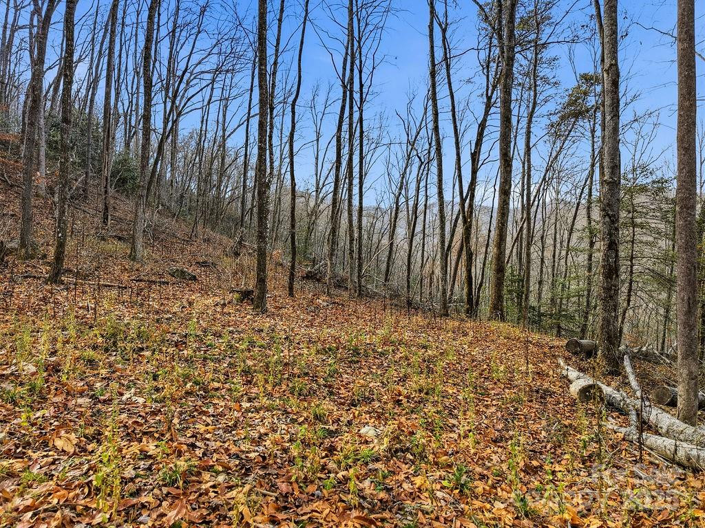 00 Barkers Creek Road - Photo 14