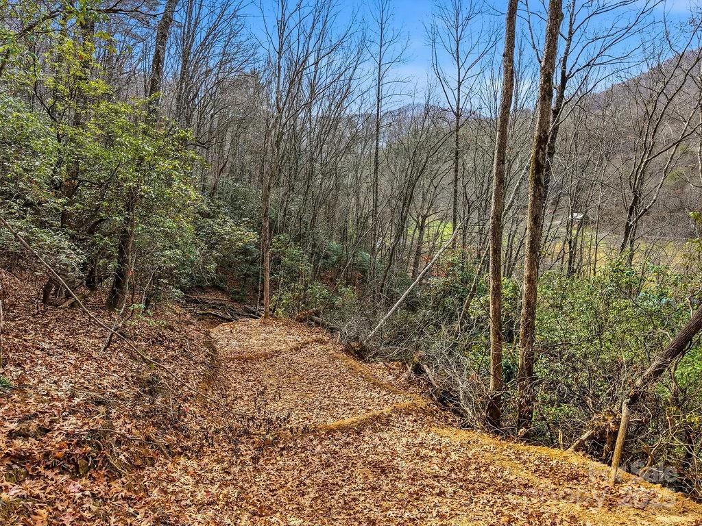 00 Barkers Creek Road - Photo 15