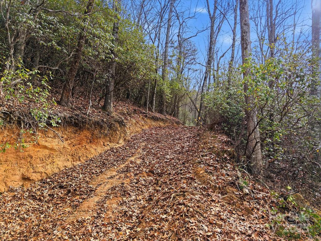 00 Barkers Creek Road - Photo 16