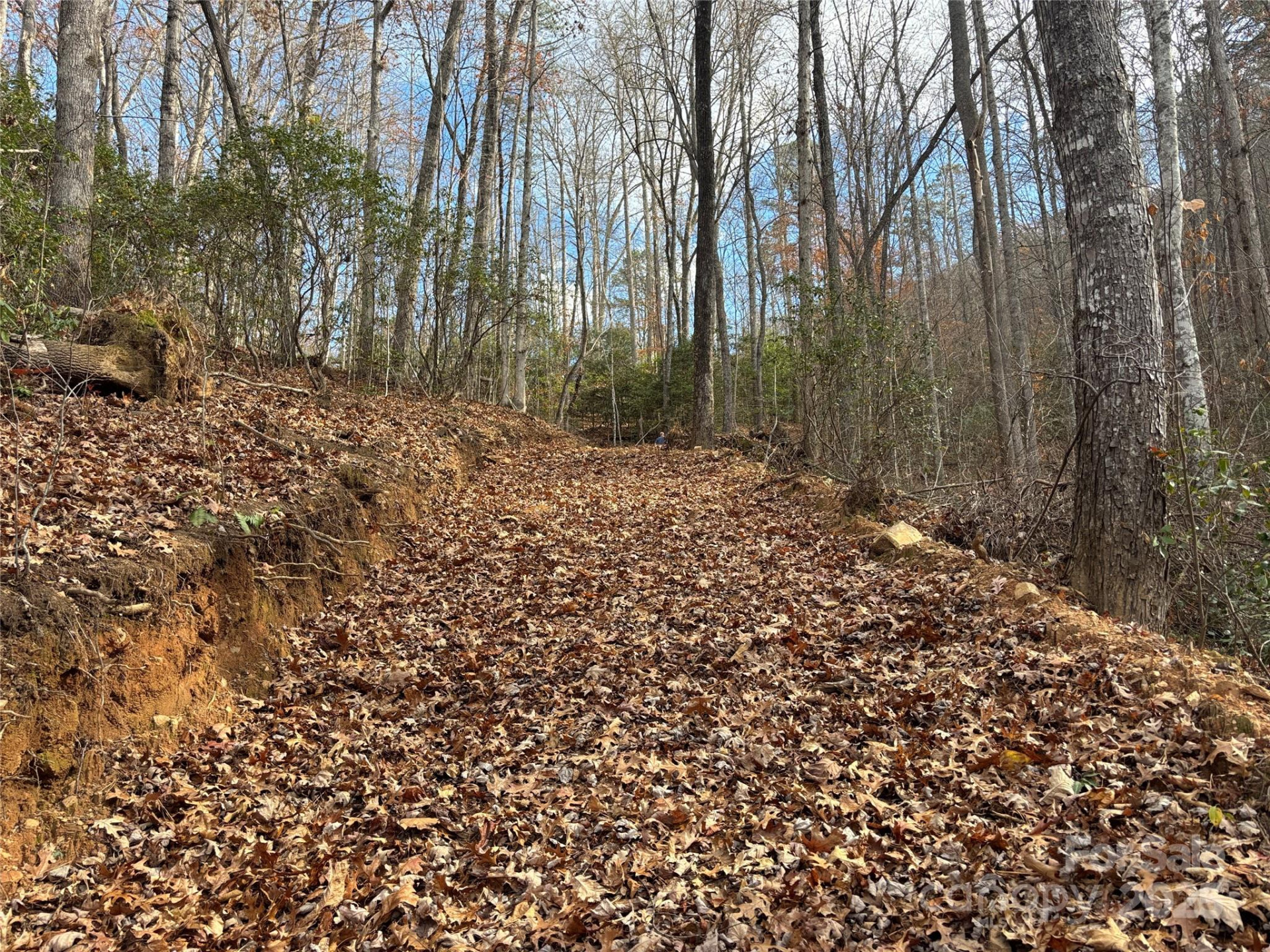 00 Barkers Creek Road - Photo 19