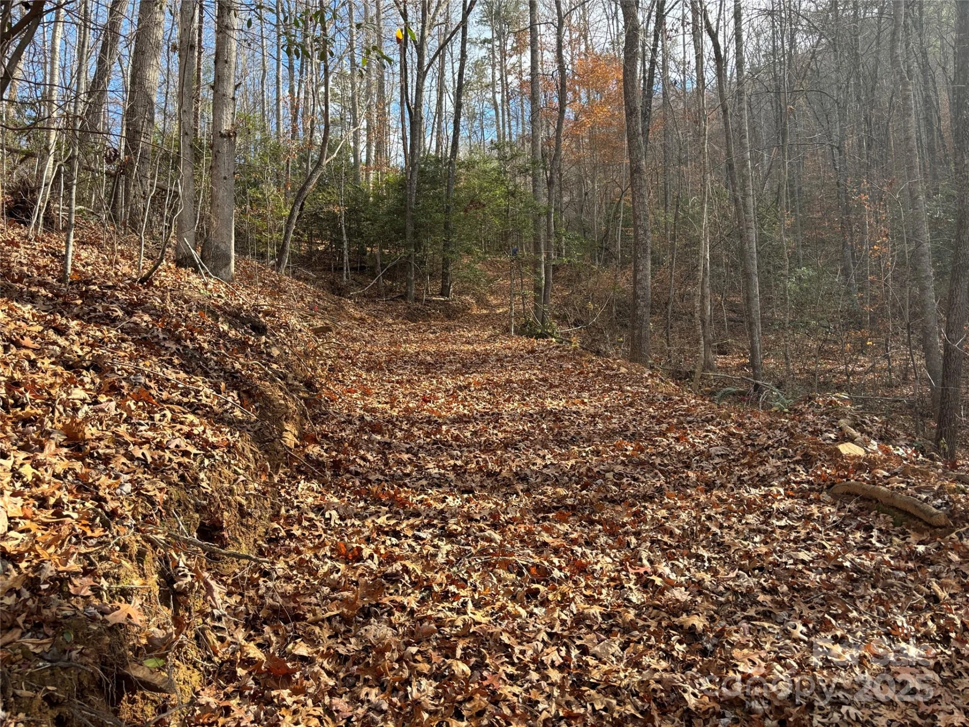 00 Barkers Creek Road - Photo 20