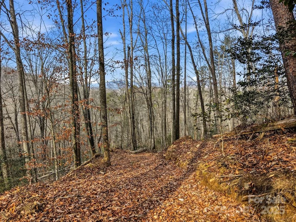 00 Barkers Creek Road - Photo 3