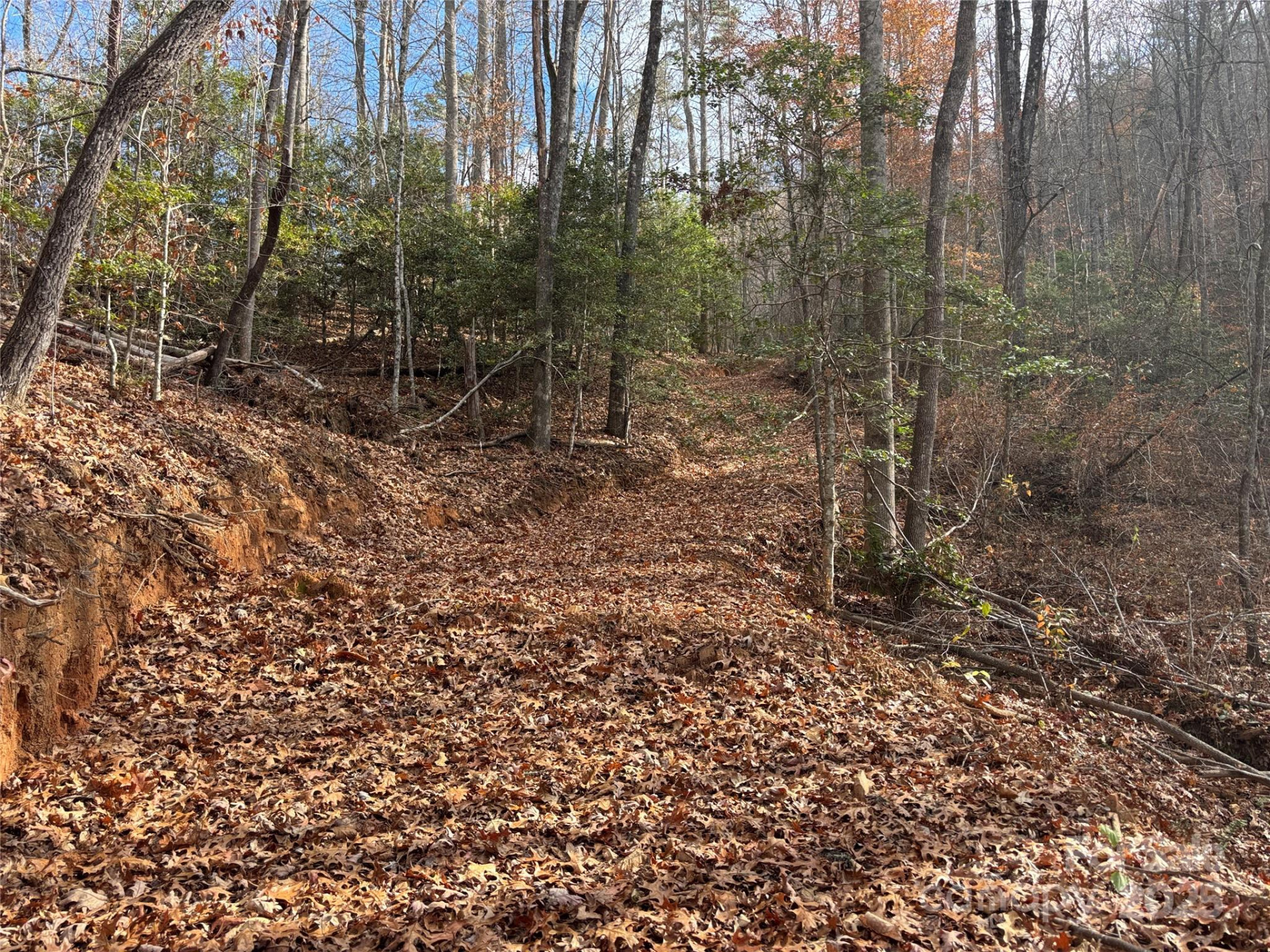 00 Barkers Creek Road - Photo 21