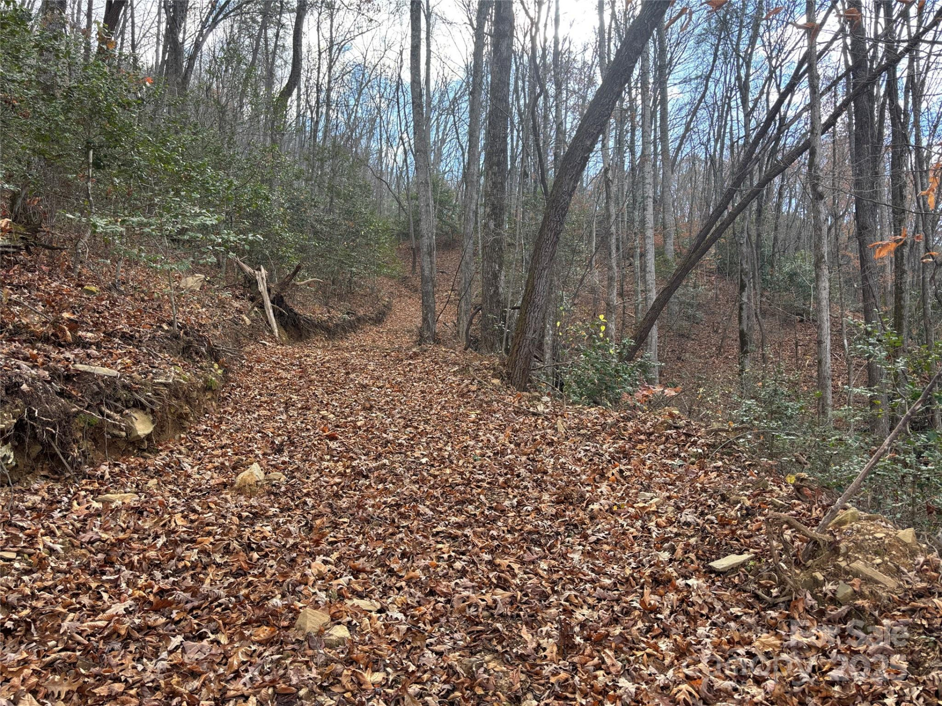 00 Barkers Creek Road - Photo 22