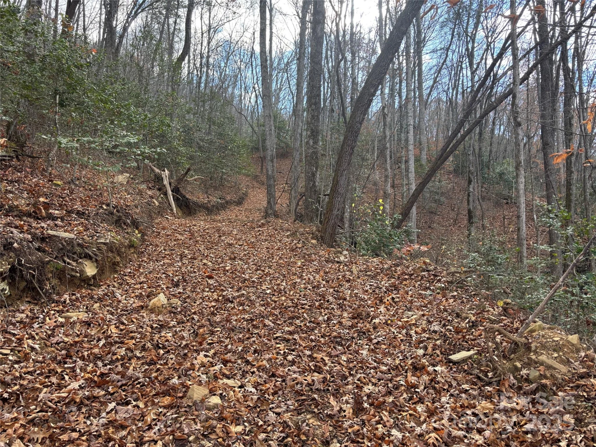 00 Barkers Creek Road - Photo 22