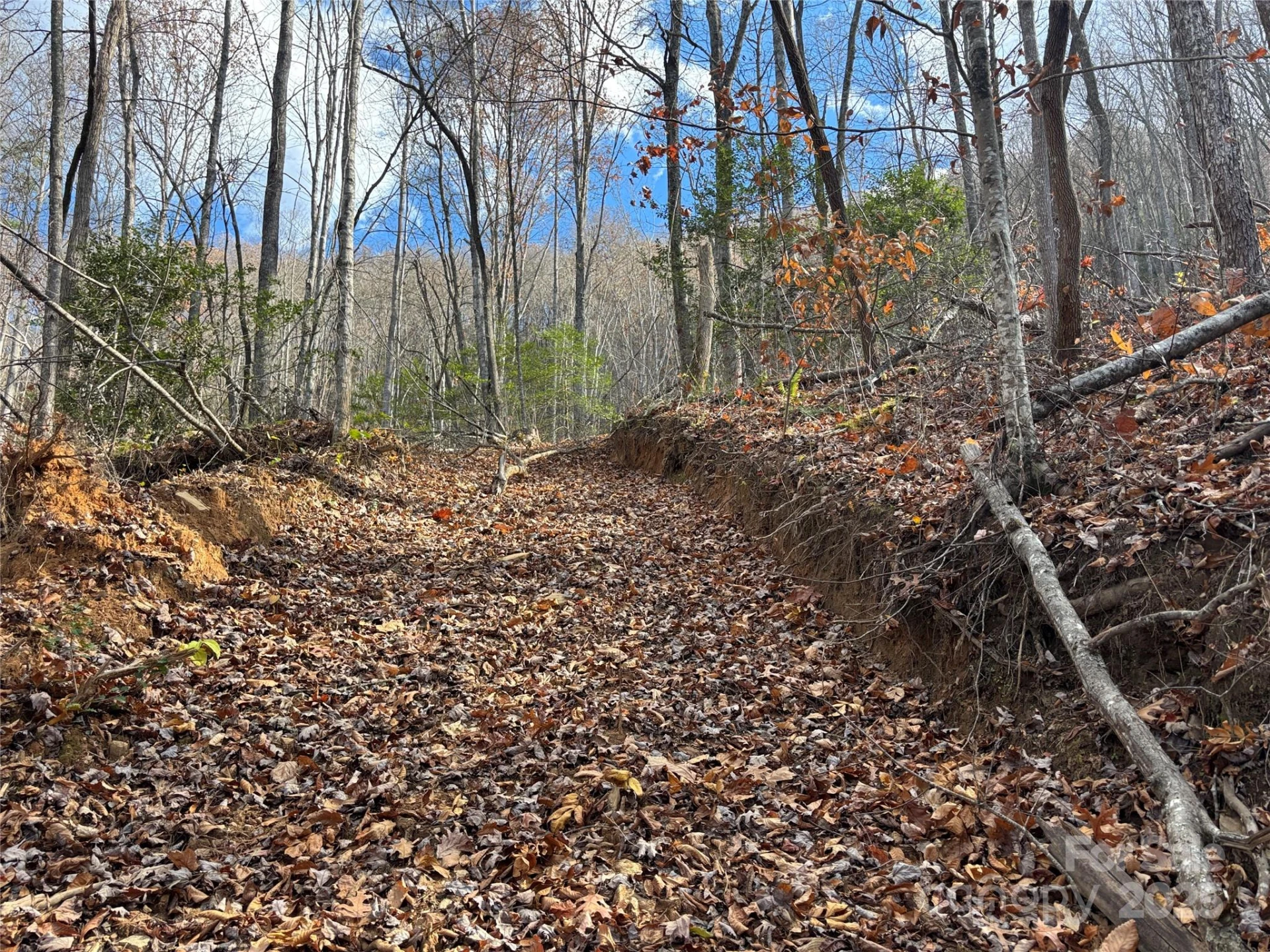 00 Barkers Creek Road - Photo 23