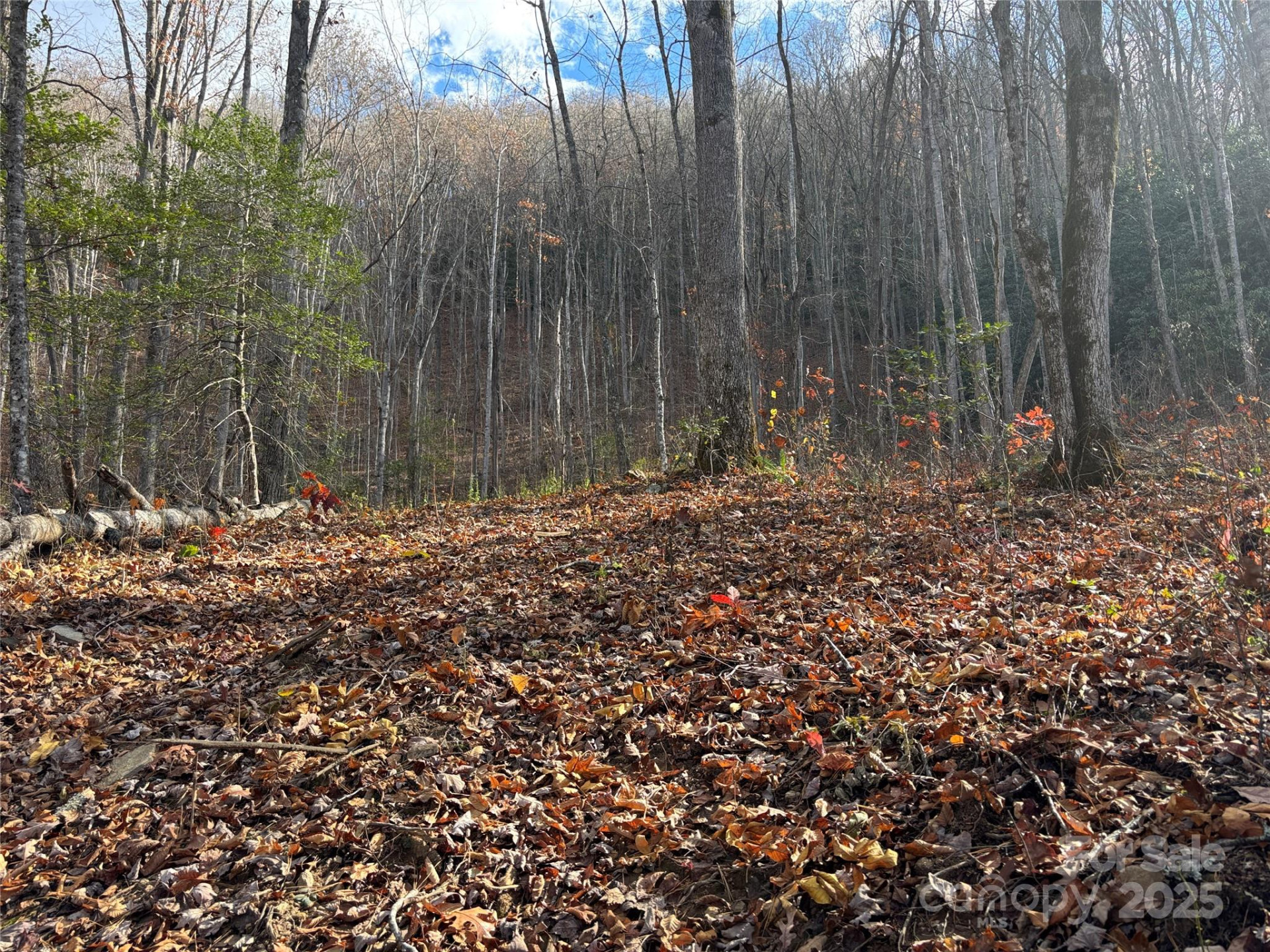 00 Barkers Creek Road - Photo 24