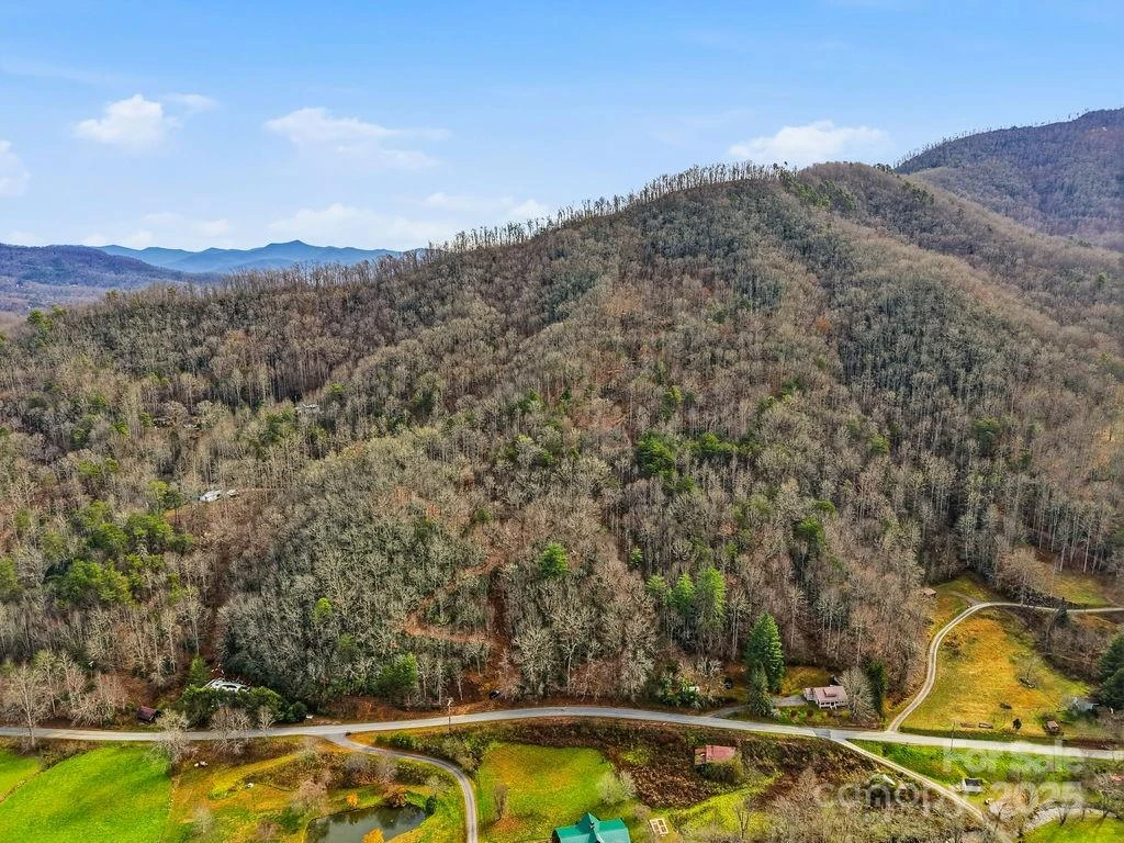 00 Barkers Creek Road - Photo 4
