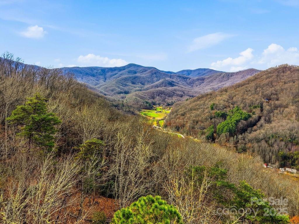 00 Barkers Creek Road - Photo 5